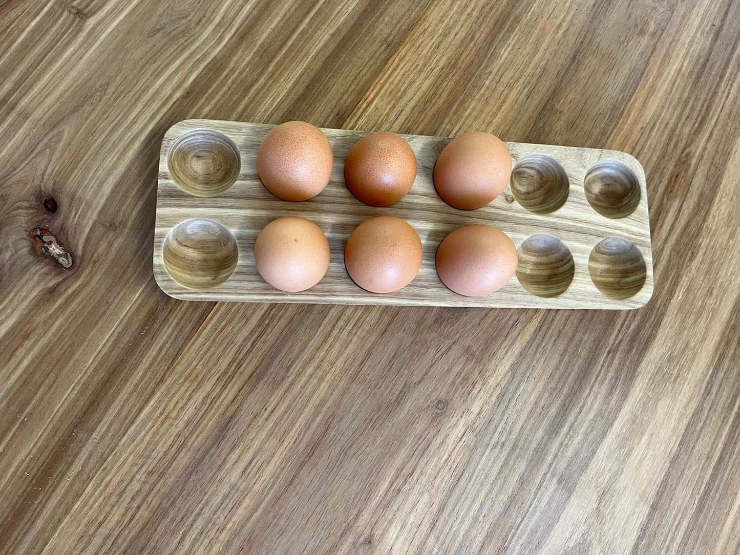 12 x EGG TRAY
